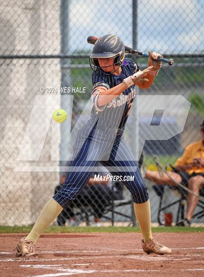 Thumbnail 3 in Dickson County @ Arlington (4A Sectional) photogallery.