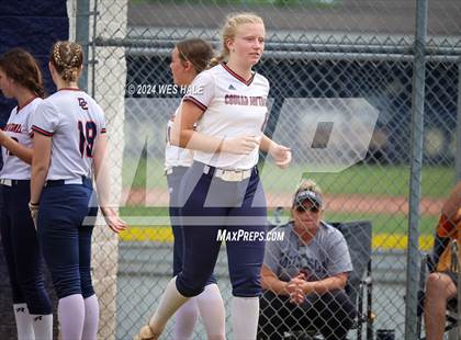 Thumbnail 2 in Dickson County @ Arlington (4A Sectional) photogallery.