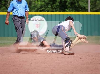 Thumbnail 1 in Dickson County @ Arlington (4A Sectional) photogallery.
