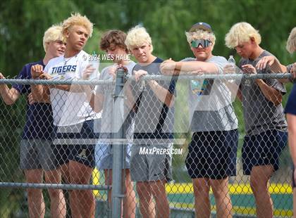 Thumbnail 1 in Dickson County @ Arlington (4A Sectional) photogallery.