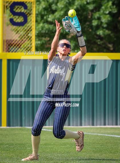 Thumbnail 3 in Dickson County @ Arlington (4A Sectional) photogallery.