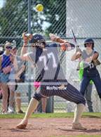 Photo from the gallery "Dickson County @ Arlington (4A Sectional)"
