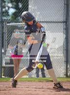 Photo from the gallery "Dickson County @ Arlington (4A Sectional)"