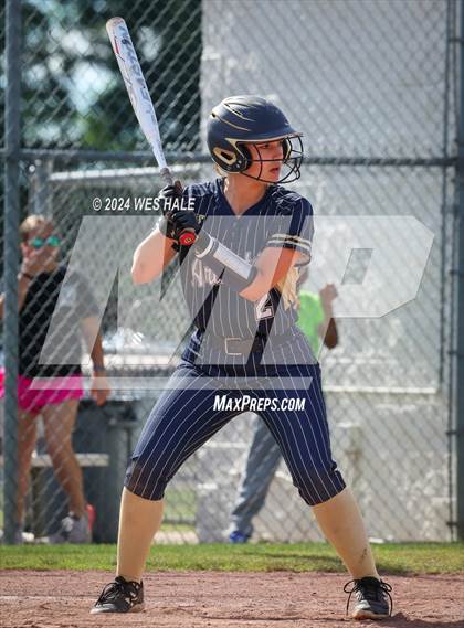 Thumbnail 2 in Dickson County @ Arlington (4A Sectional) photogallery.