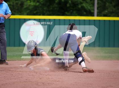 Thumbnail 3 in Dickson County @ Arlington (4A Sectional) photogallery.