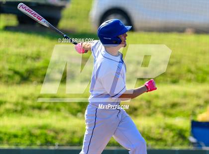 Thumbnail 1 in Melbourne @ Cotter photogallery.