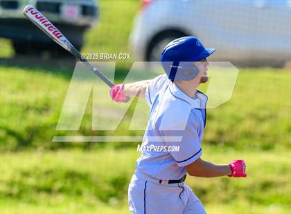Thumbnail 2 in Melbourne @ Cotter photogallery.