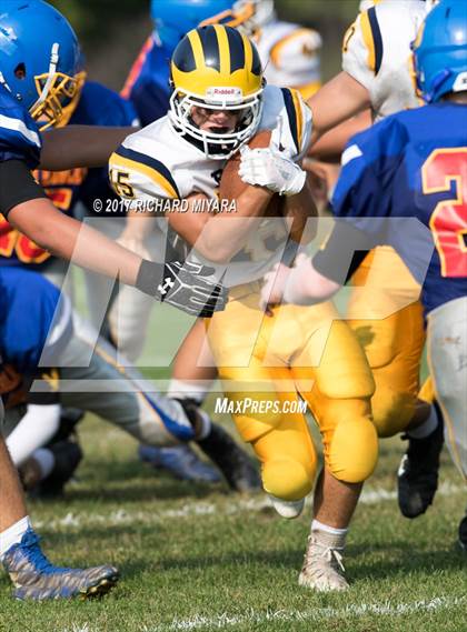 Thumbnail 3 in Bow @ Belmont-Gilford photogallery.
