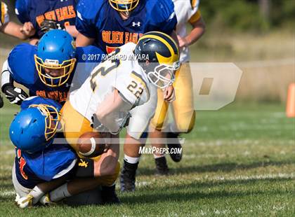 Thumbnail 3 in Bow @ Belmont-Gilford photogallery.