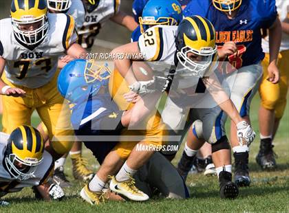 Thumbnail 1 in Bow @ Belmont-Gilford photogallery.