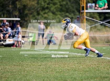 Thumbnail 3 in Bow @ Belmont-Gilford photogallery.