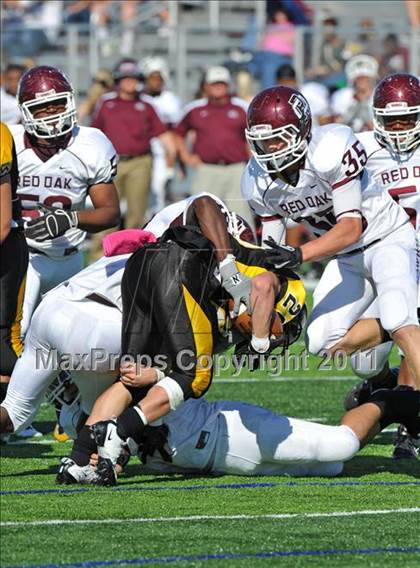 Thumbnail 2 in Red Oak @ Forney photogallery.