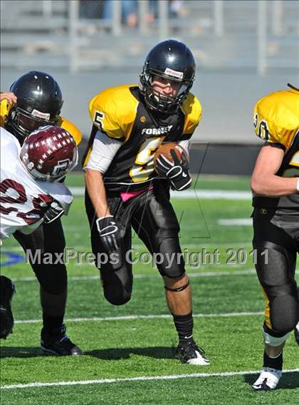 Thumbnail 3 in Red Oak @ Forney photogallery.