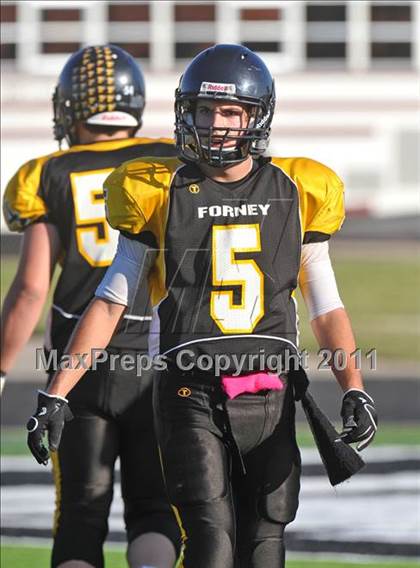 Thumbnail 3 in Red Oak @ Forney photogallery.