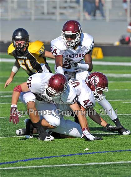 Thumbnail 3 in Red Oak @ Forney photogallery.