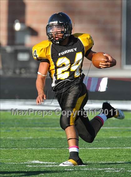 Thumbnail 3 in Red Oak @ Forney photogallery.