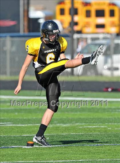 Thumbnail 3 in Red Oak @ Forney photogallery.