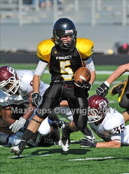 Thumbnail 2 in Red Oak @ Forney photogallery.