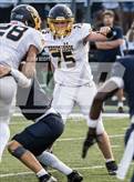 Photo from the gallery "Grand Ledge @ East Lansing"