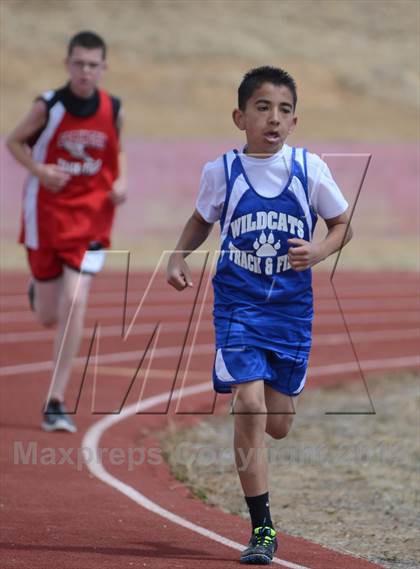Thumbnail 1 in Springer Red Devil Relays photogallery.