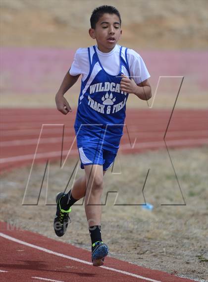 Thumbnail 2 in Springer Red Devil Relays photogallery.