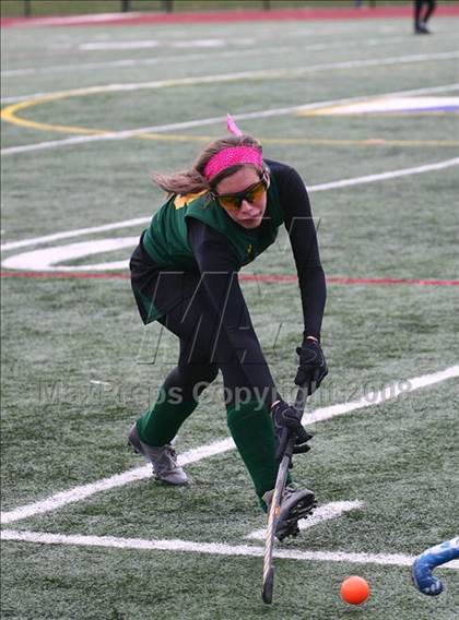 Thumbnail 3 in Williamsville North vs Webster Thomas (Class A, Far West Regionals) photogallery.