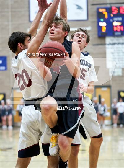 Thumbnail 1 in Chatfield @ Dakota Ridge photogallery.