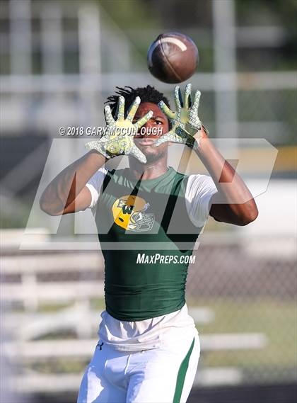 Thumbnail 3 in White @ Nease photogallery.