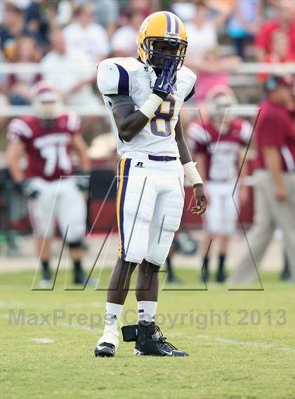 Thumbnail 2 in Covington @ Munford photogallery.