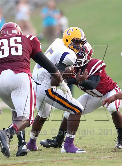 Thumbnail 2 in Covington @ Munford photogallery.