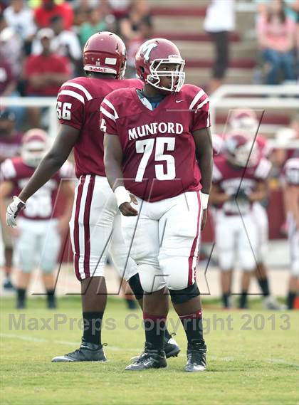 Thumbnail 1 in Covington @ Munford photogallery.