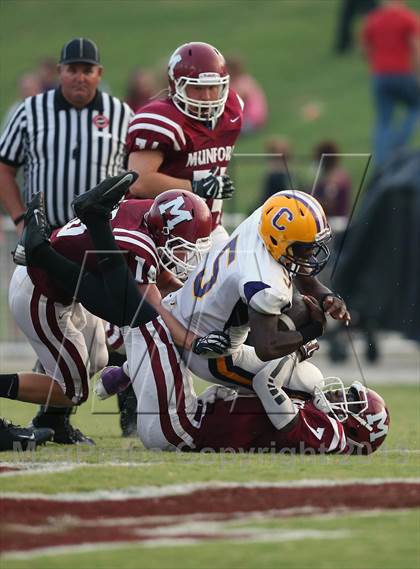 Thumbnail 3 in Covington @ Munford photogallery.