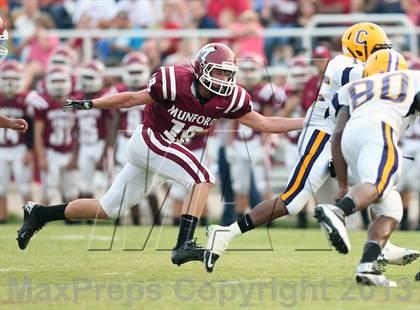 Thumbnail 3 in Covington @ Munford photogallery.