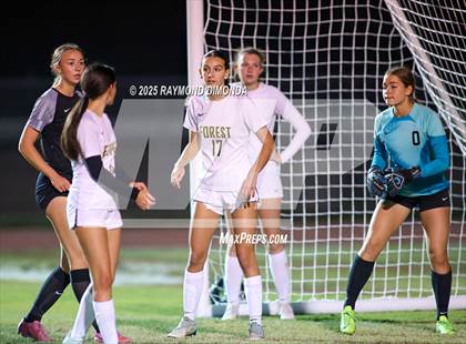 Thumbnail 1 in Forest @ Lake Minneola photogallery.