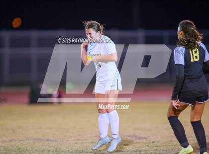 Thumbnail 1 in Forest @ Lake Minneola photogallery.