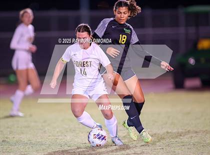 Thumbnail 1 in Forest @ Lake Minneola photogallery.