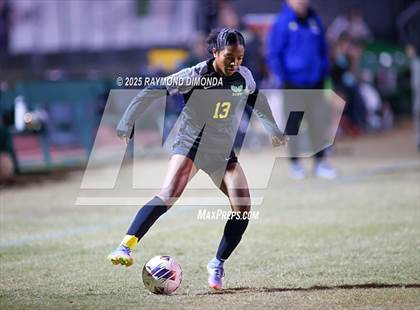 Thumbnail 2 in Forest @ Lake Minneola photogallery.