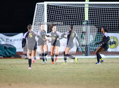 Thumbnail 1 in Forest @ Lake Minneola photogallery.