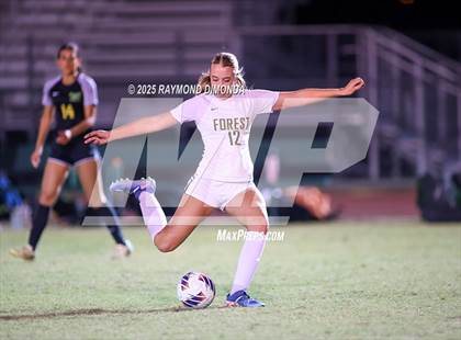 Thumbnail 2 in Forest @ Lake Minneola photogallery.