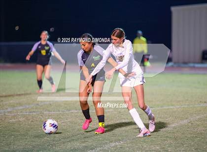 Thumbnail 1 in Forest @ Lake Minneola photogallery.