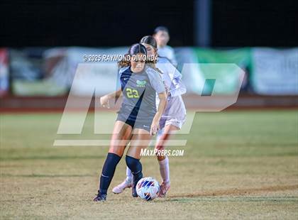 Thumbnail 1 in Forest @ Lake Minneola photogallery.