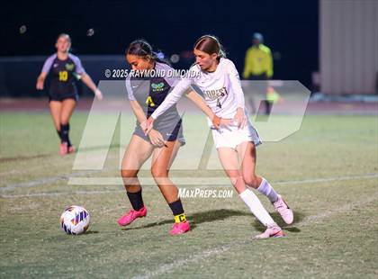 Thumbnail 2 in Forest @ Lake Minneola photogallery.