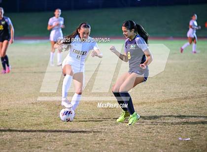 Thumbnail 3 in Forest @ Lake Minneola photogallery.