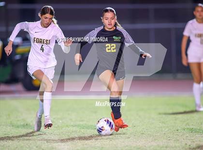 Thumbnail 3 in Forest @ Lake Minneola photogallery.