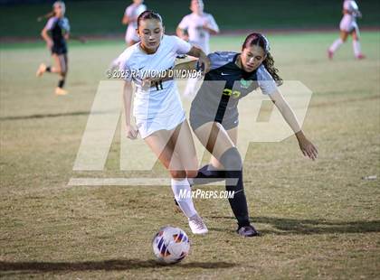 Thumbnail 2 in Forest @ Lake Minneola photogallery.