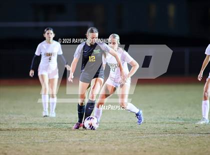 Thumbnail 1 in Forest @ Lake Minneola photogallery.