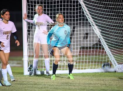 Thumbnail 2 in Forest @ Lake Minneola photogallery.