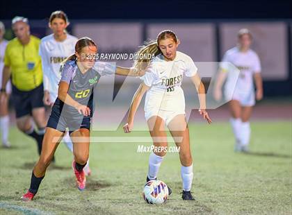 Thumbnail 1 in Forest @ Lake Minneola photogallery.