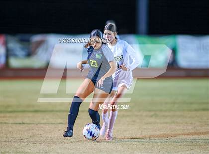 Thumbnail 3 in Forest @ Lake Minneola photogallery.