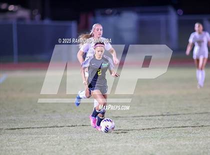 Thumbnail 3 in Forest @ Lake Minneola photogallery.